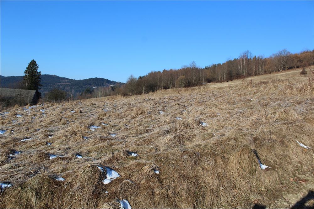 Dom wolnostojący - Sprzedaż - Kurów, Polska - 39 - 800061130-4