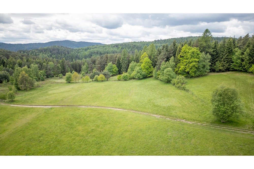 Działka - Sprzedaż - Krzeszów, Polska - DJI_0361.jpg - 470131112-4