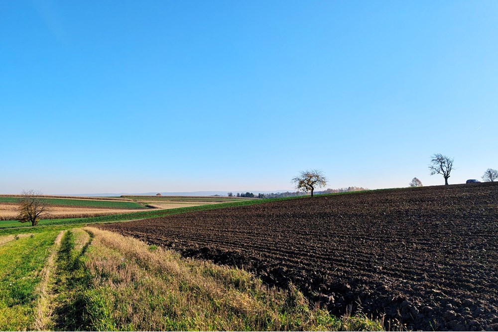 Nieruchomość inwestycyjna - Sprzedaż - Rudnik, Polska - f55bfb4e-ac81-48f1-96df-458ccb13df49.jpg - 470311007-9