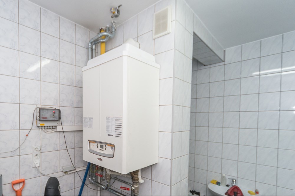 Hala - Sprzedaż - Czaniec, Polska - CG15_026D.jpg - 800061100-89