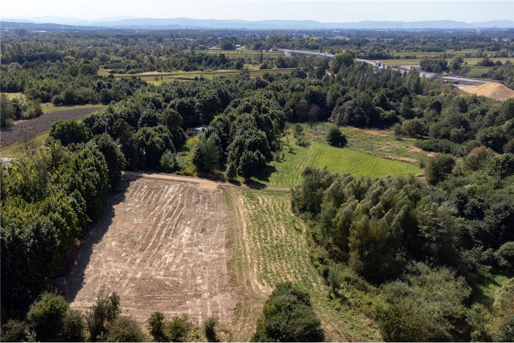 Działka - Sprzedaż - Jankowice, Polska - 43 - 800061103-174