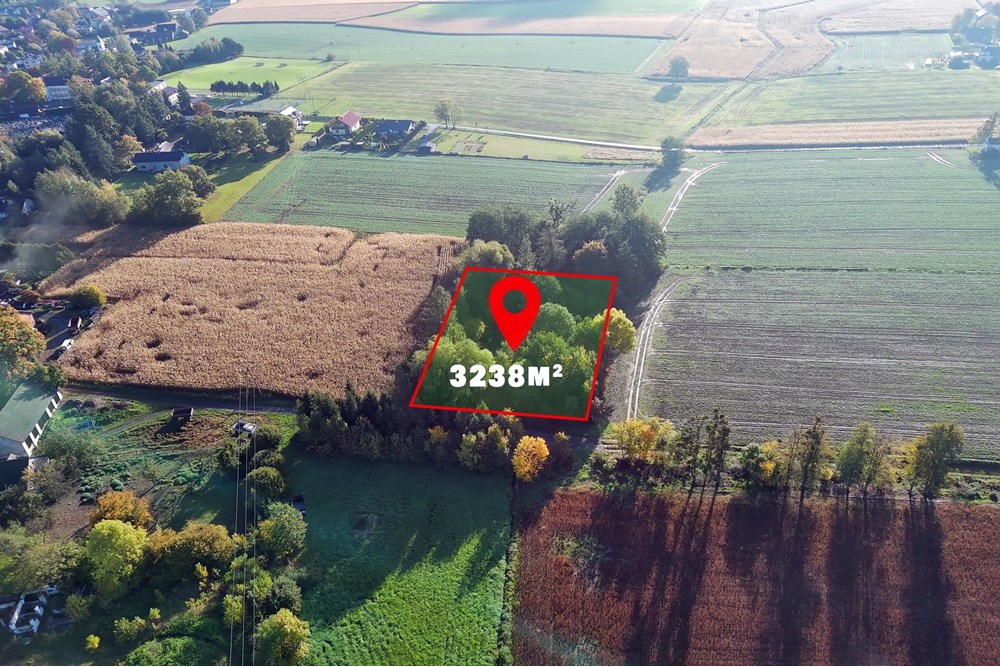 Nieruchomość inwestycyjna - Sprzedaż - Pruchna, Polska - PRU_021M.jpg - 800061076-438