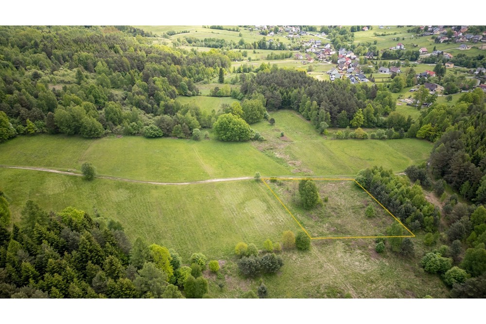 Działka - Sprzedaż - Krzeszów, Polska - Działka 149.000 2.jpg - 470131112-3