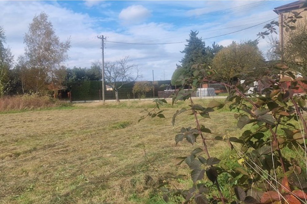 Działka - Sprzedaż - Pruchna, Polska - Pruchna1507.jpeg - 470131058-385