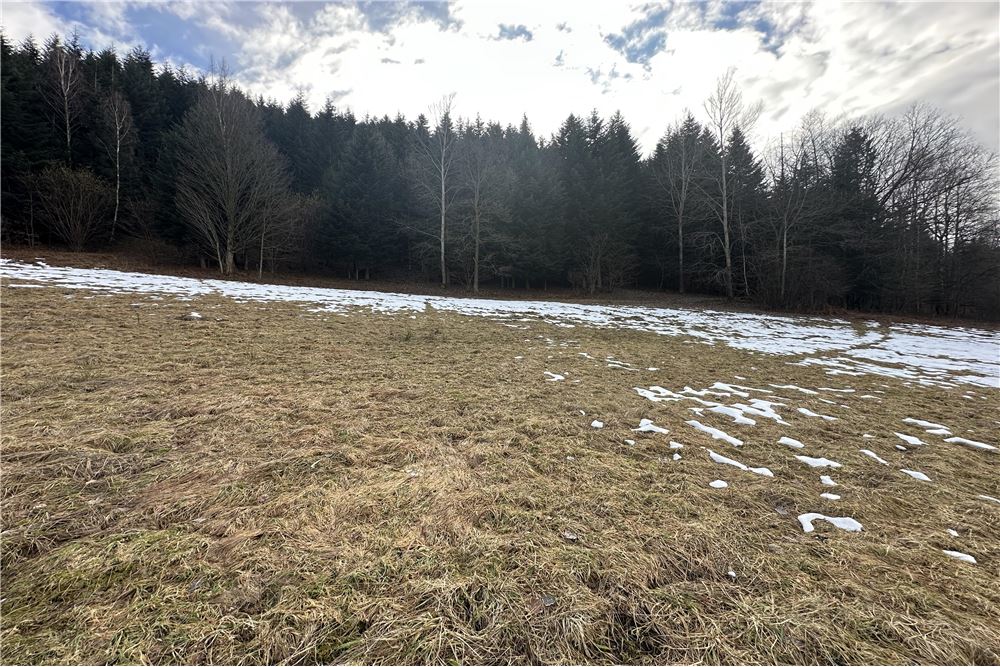 Działka budowlana - Sprzedaż - Las, Polska - 37 - 800061103-198