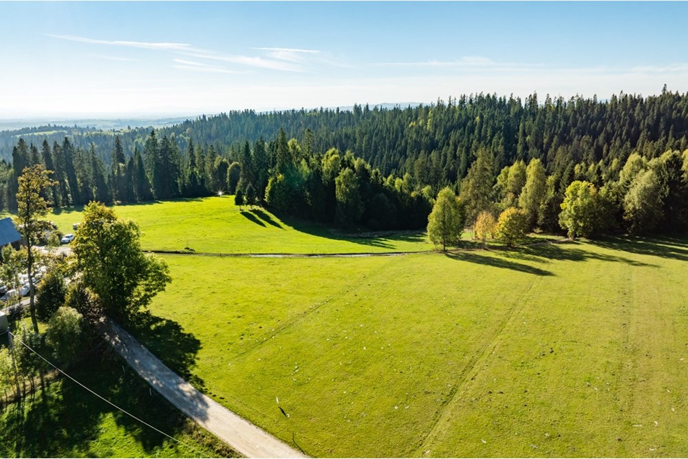 Działka budowlana - Sprzedaż - Nowy Targ, Polska - 20251004-DJI_0145-HDR.jpg - 800091040-99