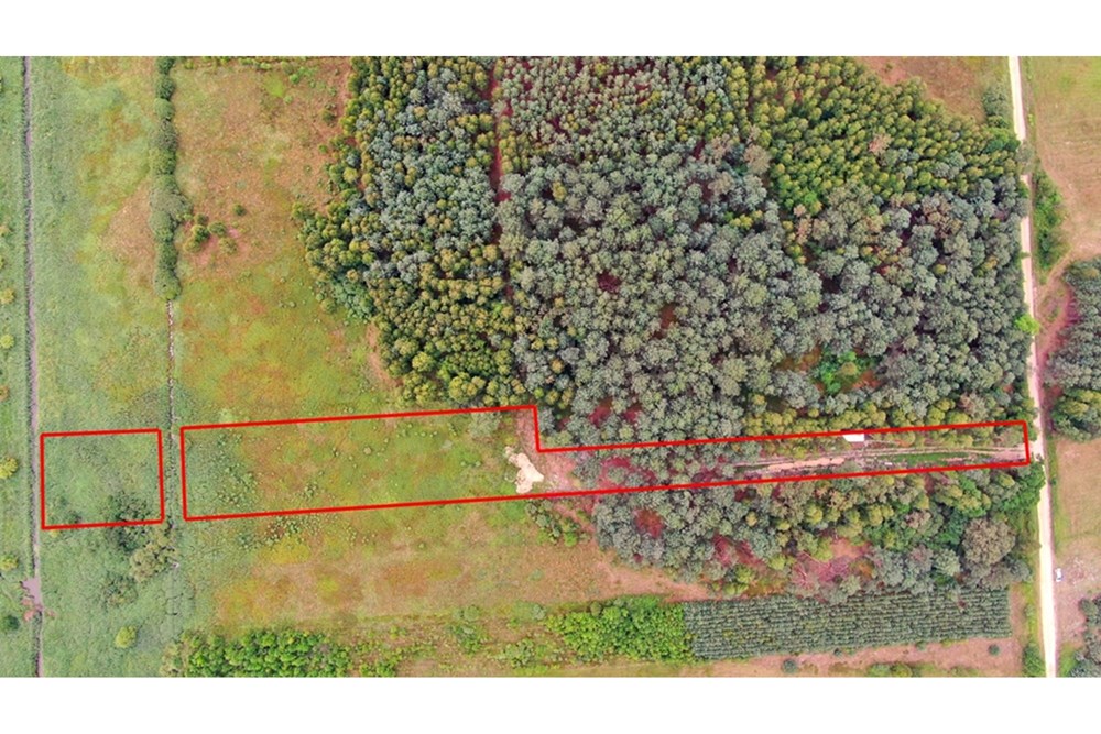 Nieruchomość gruntowa - Sprzedaż - Rudniki-Kolonia, Polska - Koniecpol (10).jpg - 800041074-18