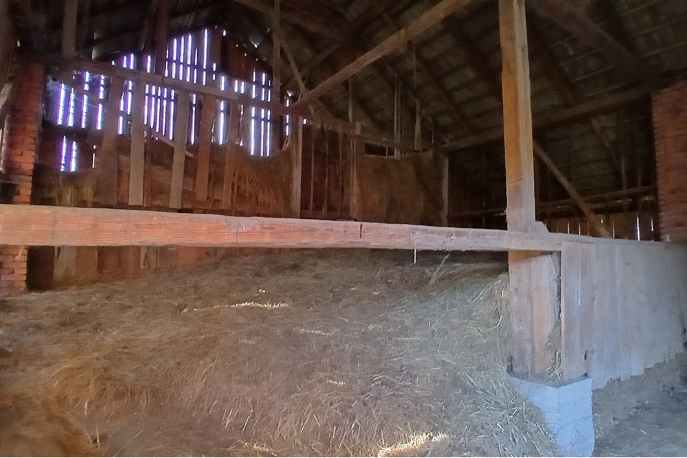 Dom wolnostojący - Sprzedaż - Krasne-Lasocice, Polska - 20251031_134004.jpg - 800241017-143