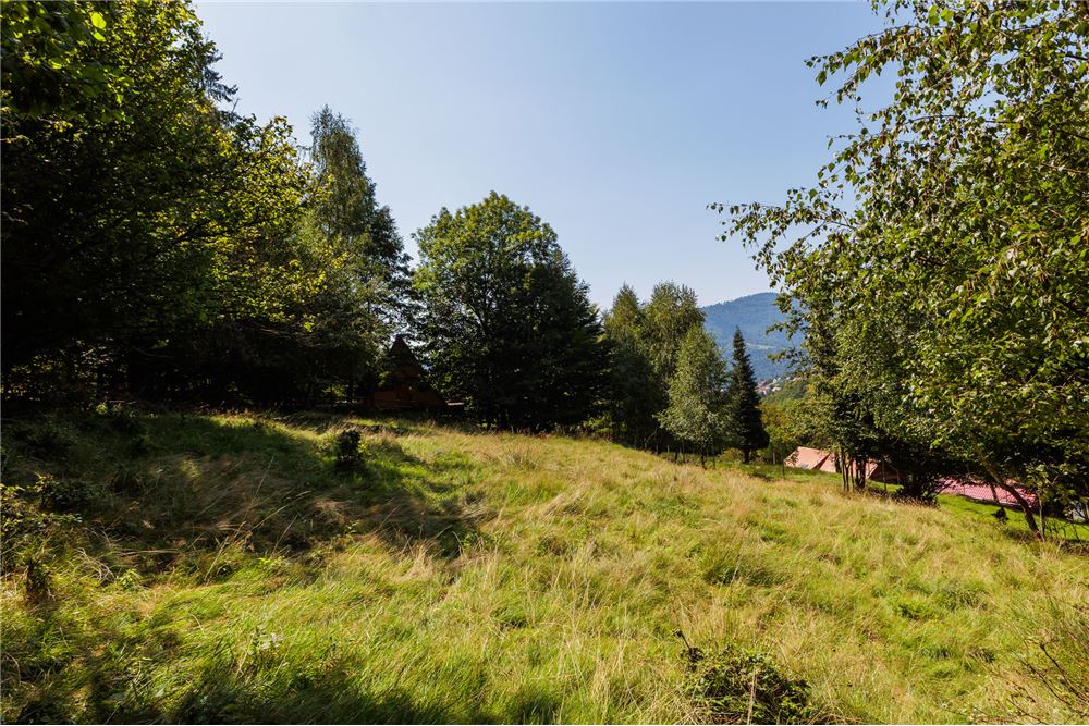 Działka - Sprzedaż - Międzybrodzie Żywieckie, Polska - 7 - 800061107-105