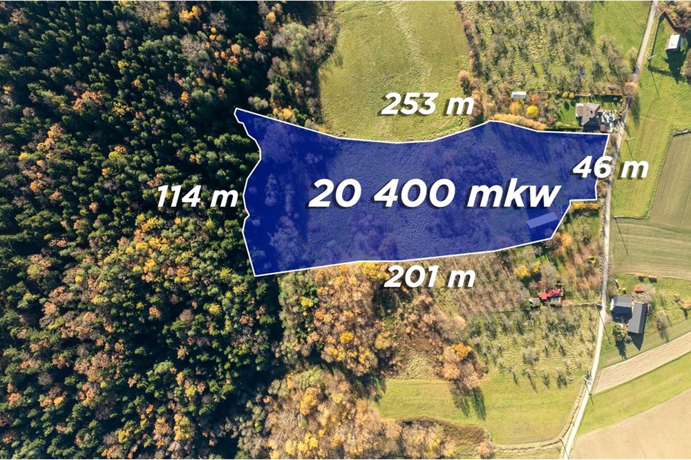 Dom wolnostojący - Sprzedaż - Krasne-Lasocice, Polska - 20251107-DJI_0598-HDR.jpg - 800241017-143