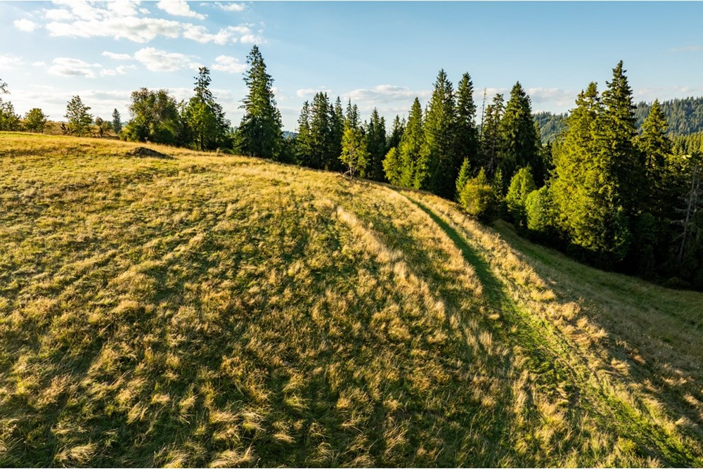 Działka - Sprzedaż - Zakopane, Polska - 20250826-DJI_0085-HDR.jpg - 470151024-449