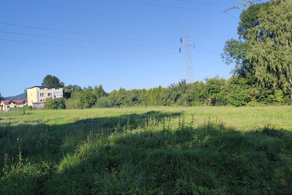 Działka budowlana - Sprzedaż - Pietrzykowice, Polska - IMG_20250812_175620.jpg - 800061133-8