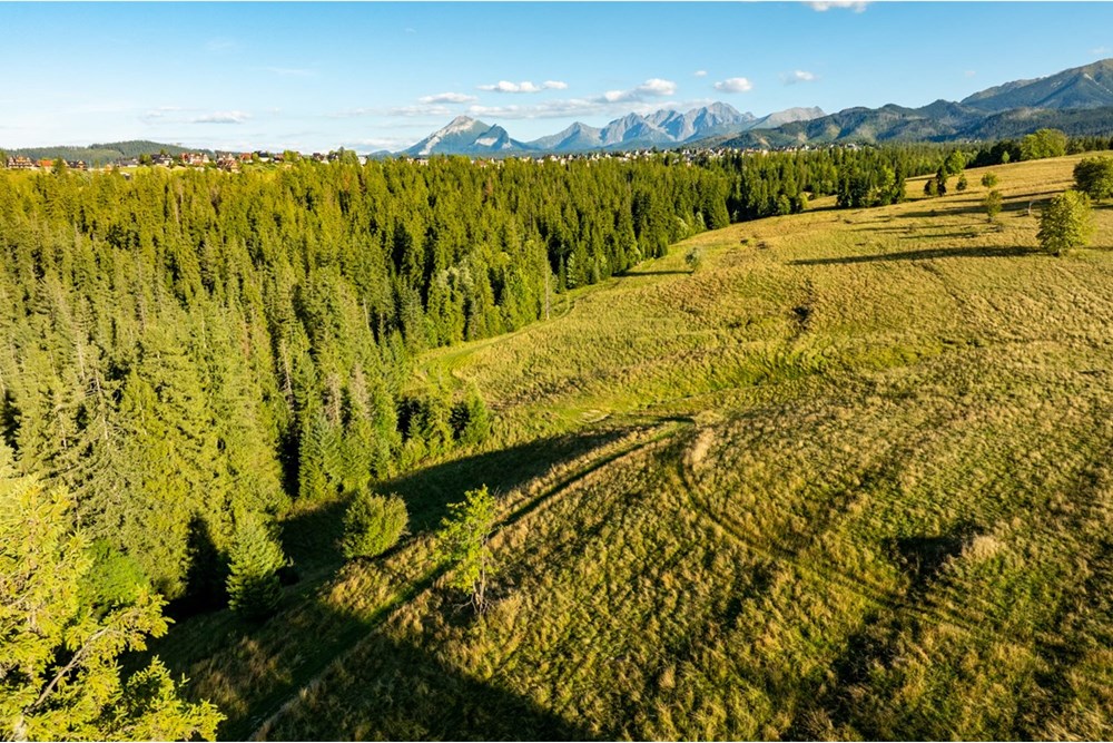 Działka - Sprzedaż - Zakopane, Polska - 20250826-DJI_0109-HDR.jpg - 470151024-450