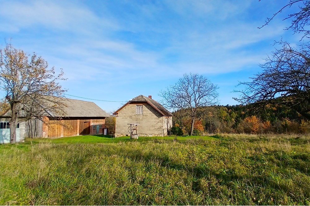 Dom wolnostojący - Sprzedaż - Krasne-Lasocice, Polska - 20251031_134723.jpg - 800241017-143