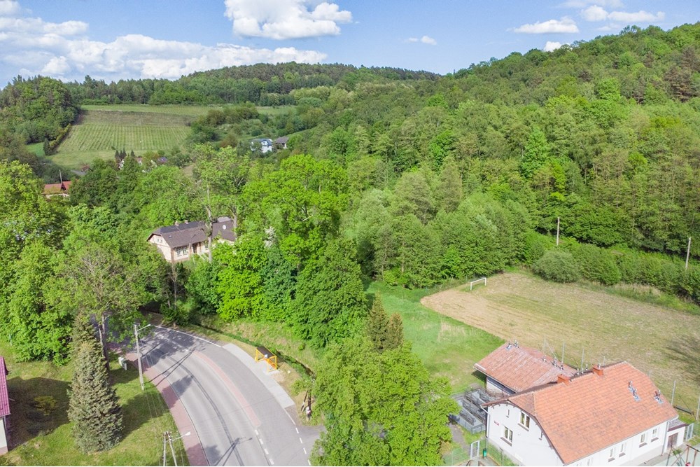 Działka budowlana - Sprzedaż - Regulice, Polska - DJI_0501.jpg - 800061111-168