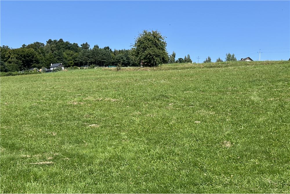 Działka - Sprzedaż - Młynne, Polska - 33 - 800061103-179