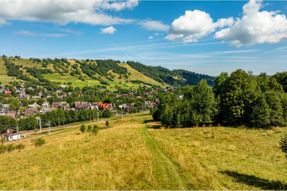 Działka - Sprzedaż - Zakopane, Polska - Artur Zając remax  (6).jpg - 800091026-83