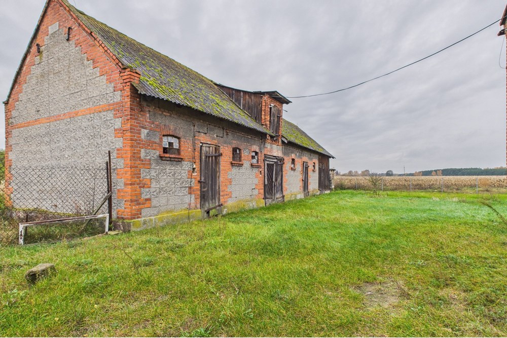 Dom wolnostojący - Sprzedaż - Emilianów, Polska - CAM03517G0-PR0049-STILL004.jpg - 470291005-41