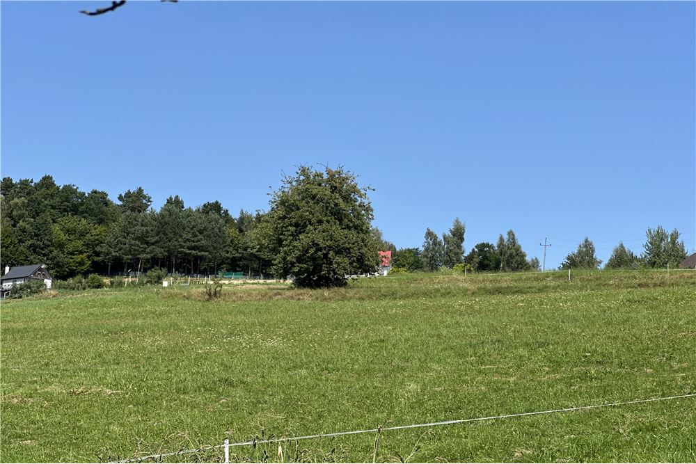 Działka - Sprzedaż - Młynne, Polska - 32 - 800061103-179