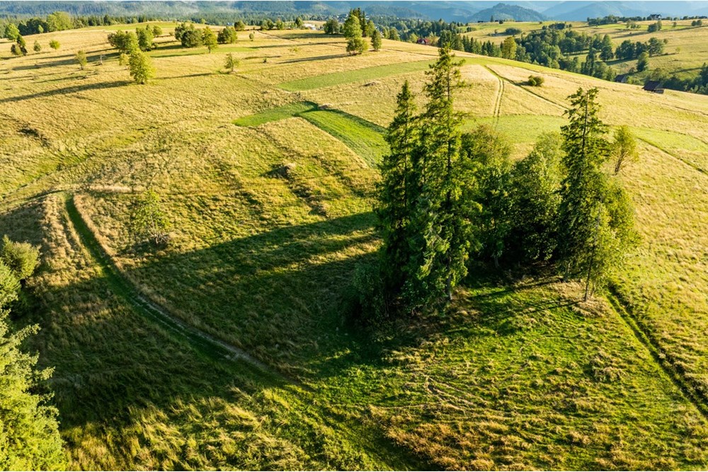 Działka - Sprzedaż - Zakopane, Polska - 20250826-DJI_0118-HDR.jpg - 470151024-448