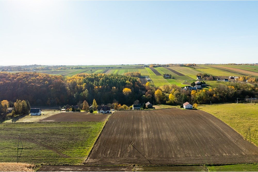 Działka budowlana - Sprzedaż - Stoki, Polska - 20251031-DJI_0017-HDR.jpg - 800241032-76
