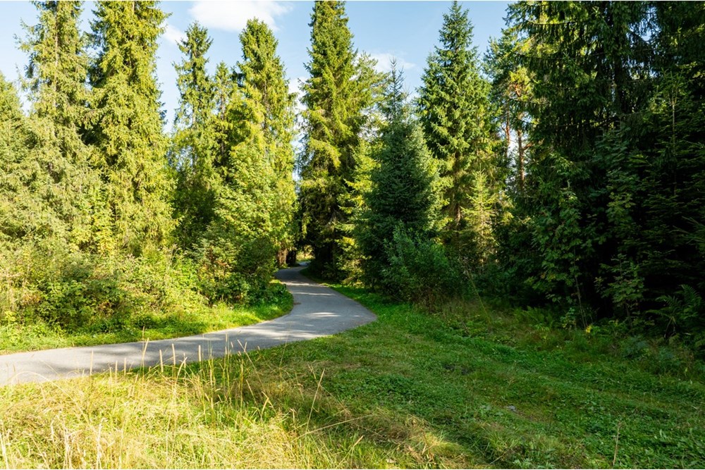 Nieruchomość gruntowa - Sprzedaż - Czarny Dunajec, Polska - 20250828-DJI_0256-HDR.jpg - 470151039-62