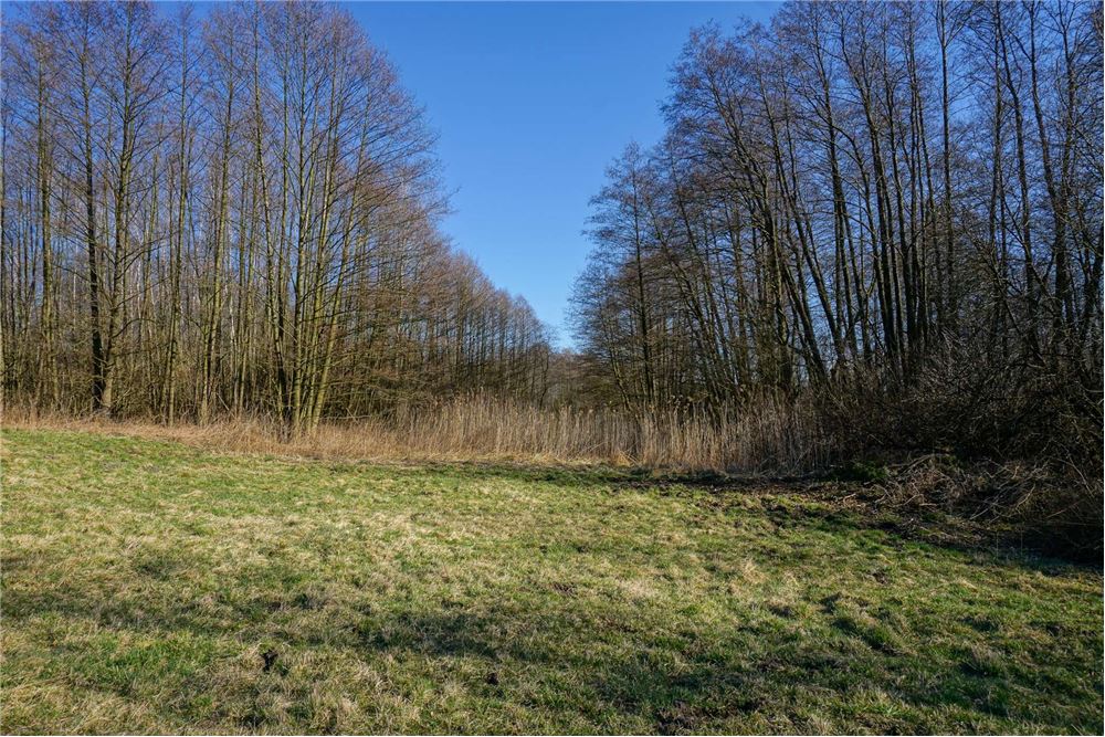 Działka budowlana - Sprzedaż - Musuły, Polska - 28 - 810141002-655