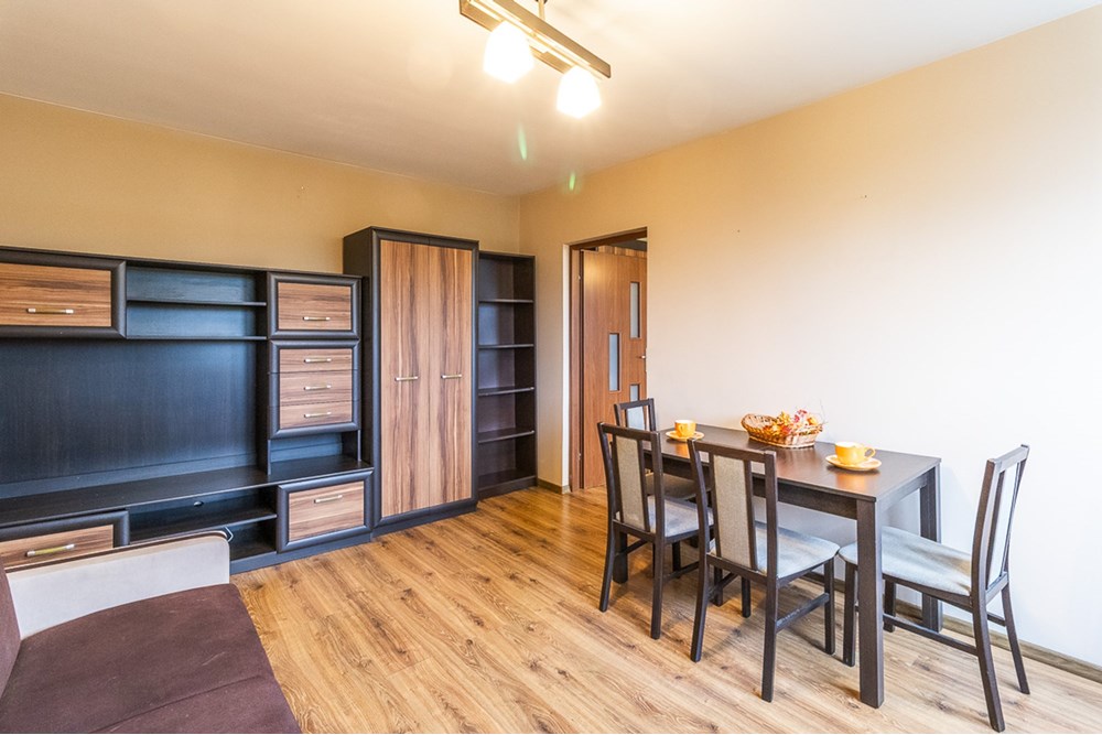 Mieszkanie - Sprzedaż - Łódź, Polska - Mieszkanie-na-sprzedaz-Lodz-6.jpg - 470191057-42