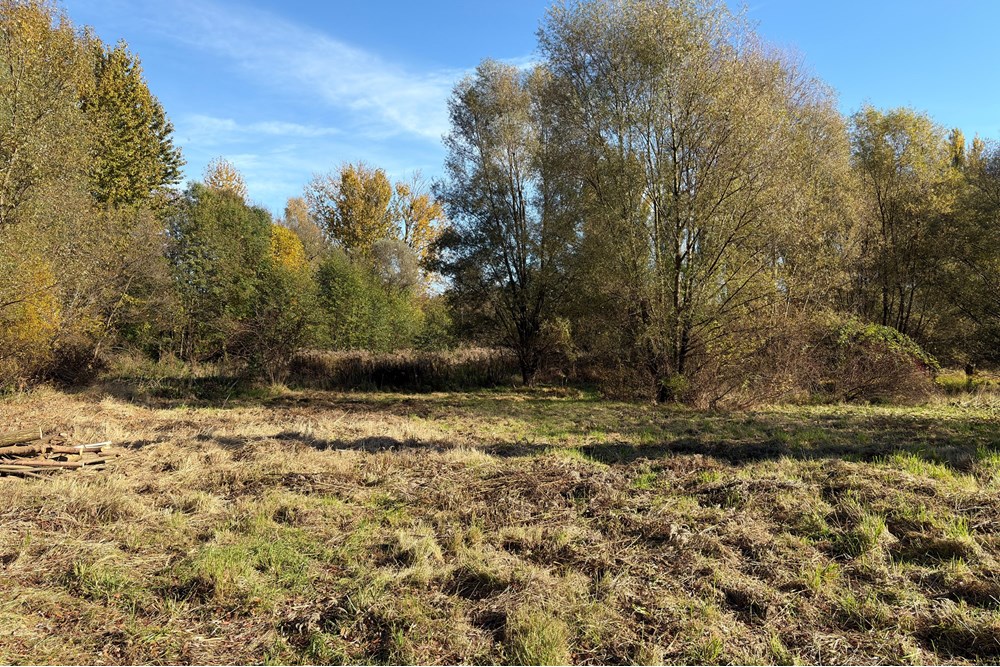 Działka budowlana - Sprzedaż - Słomniki, Polska - IMG_5544.JPG - 800241049-15