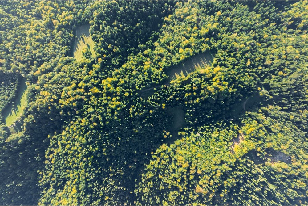 Działka - Sprzedaż - Harklowa, Polska - 20251004-DJI_0204-HDR.jpg - 470151024-458