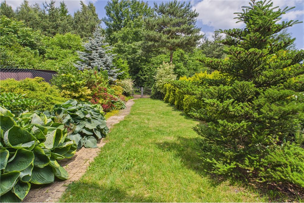 Dom w zabudowie szeregowej - Sprzedaż - Rybnik, Polska - Ogród - 470311001-38