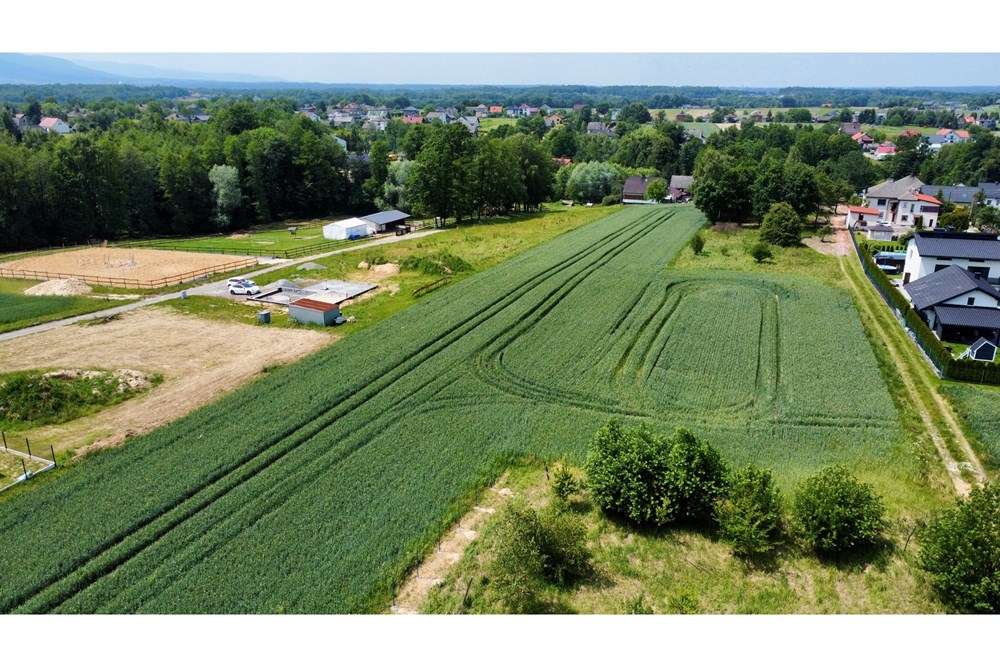 Działka budowlana - Sprzedaż - Witkowice, Polska - dji_fly_20250612_121834_583_1750154560702_photo_optimized.jpg - 800061127-16