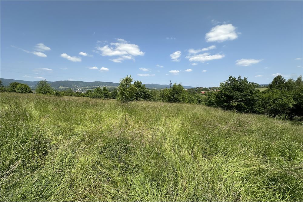 Działka budowlana - Sprzedaż - Rychwałd, Polska - 80 - 800061103-169