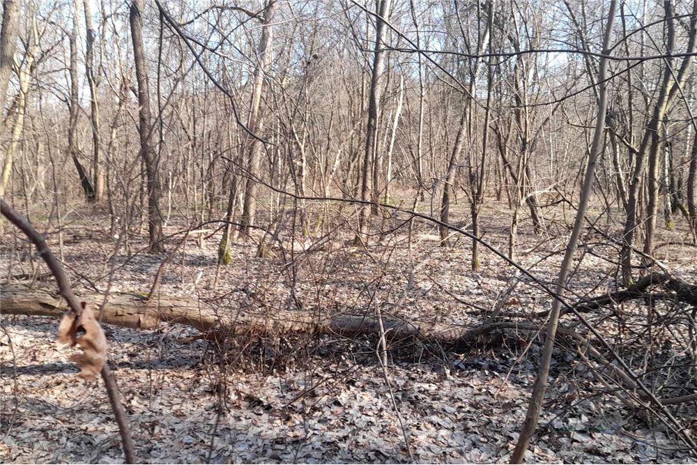 Działka - Sprzedaż - Kraków, Polska - 22 - 800241031-34