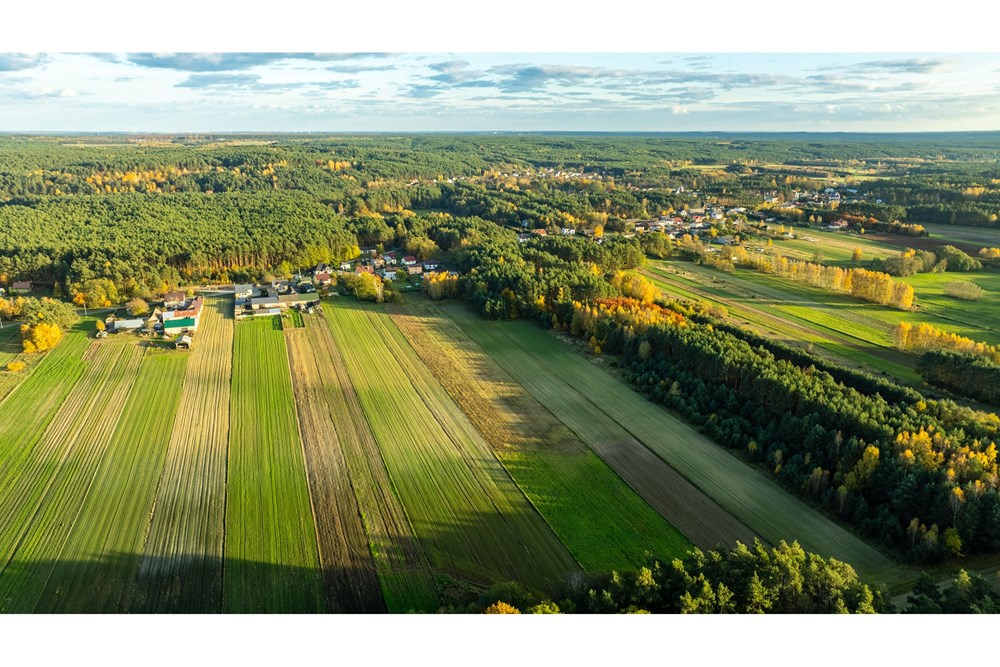 Dom wolnostojący - Sprzedaż - Toporów, Polska - 1 (8).jpg - 810251052-72