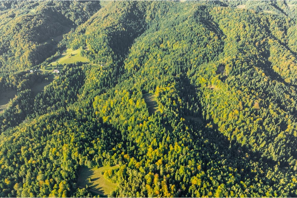 Działka - Sprzedaż - Harklowa, Polska - 20251004-DJI_0177-HDR.jpg - 470151024-458