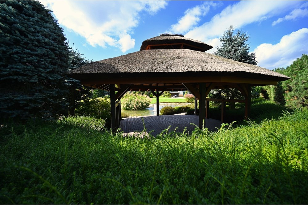 Rezydencja/Willa/Dworek - Sprzedaż - Janowice, Polska - 62.JPG - 470131040-436