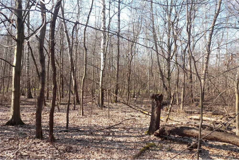 Działka - Sprzedaż - Kraków, Polska - 17 - 800241031-34