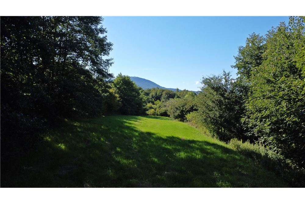 Działka - Sprzedaż - Radziechowy, Polska - 15 - 800061039-516