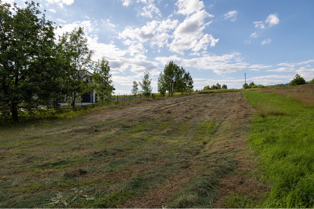 Działka - Sprzedaż - Ślemień, Polska - IMG_1043.jpg - 800061130-24