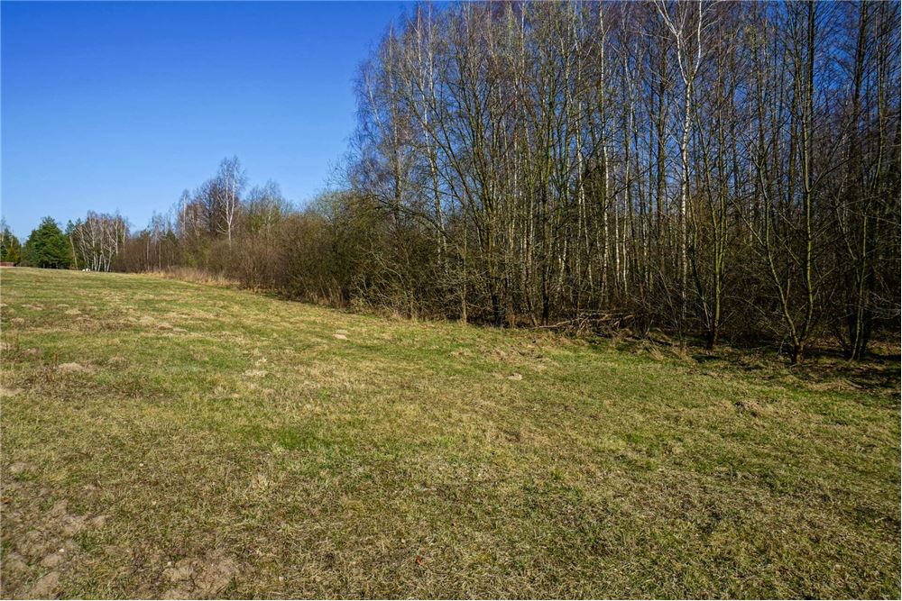 Działka budowlana - Sprzedaż - Musuły, Polska - 23 - 810141002-655