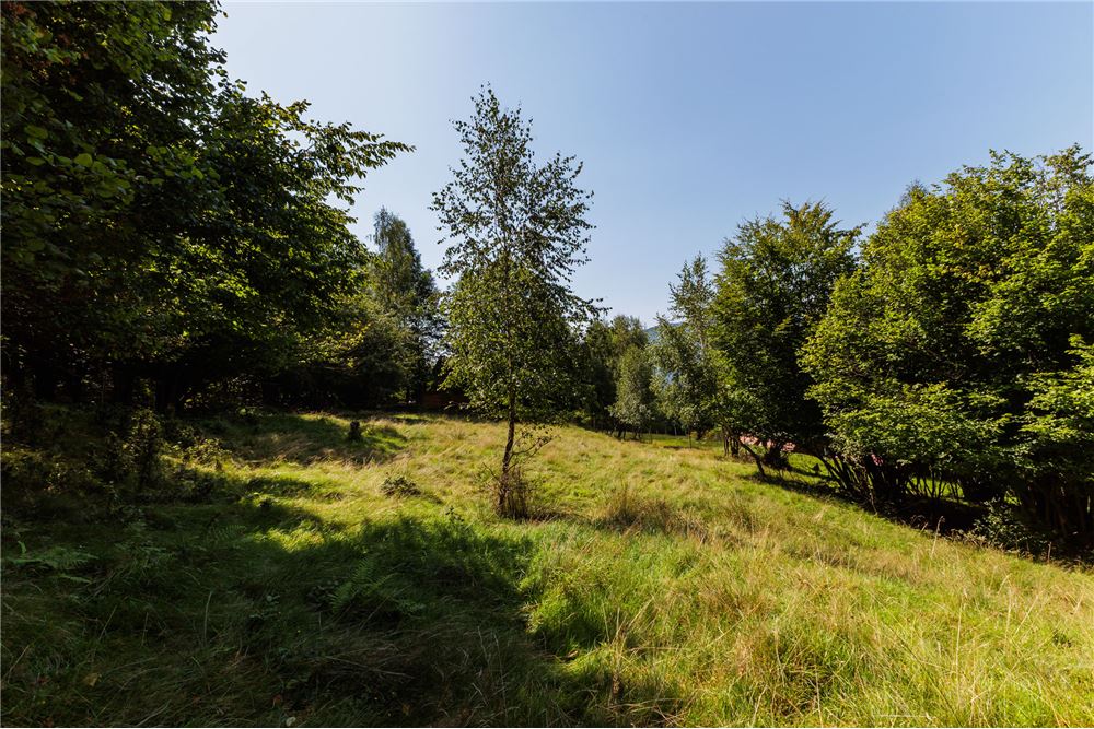 Działka - Sprzedaż - Międzybrodzie Żywieckie, Polska - 5 - 800061107-105