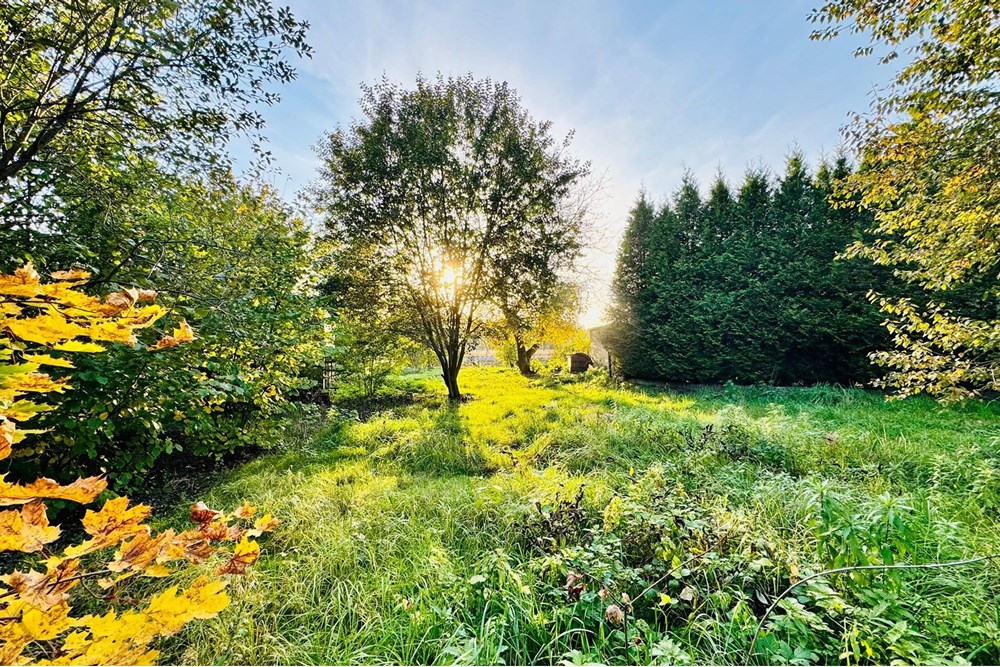 Działka budowlana - Sprzedaż - Rybnik, Polska - zagłoby 15.jpg - 470311001-56