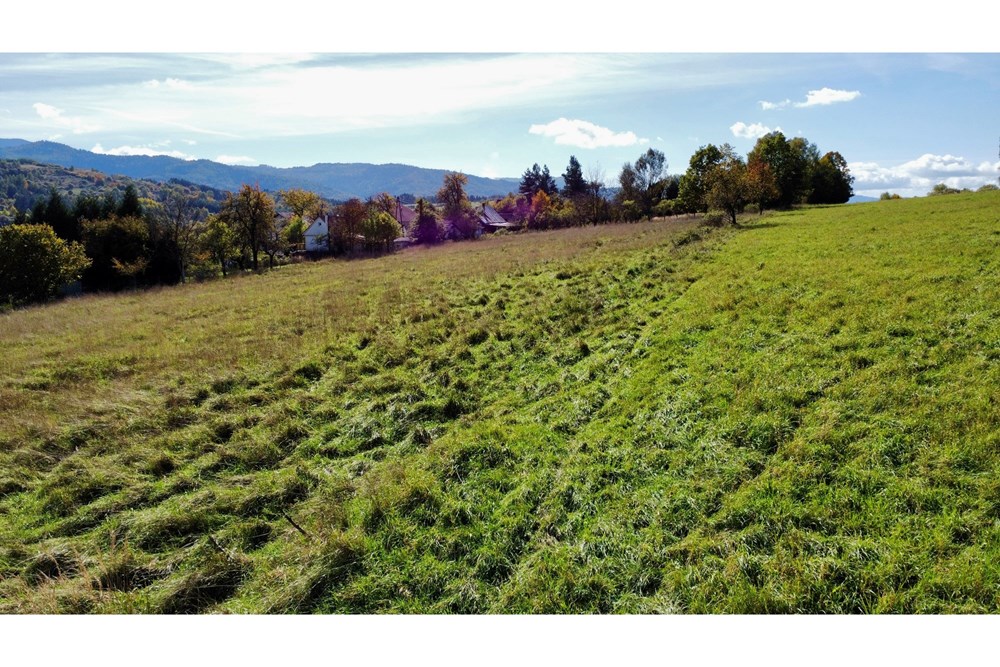 Działka budowlana - Sprzedaż - Żywiec, Polska - dji_fly_20251013_125058_194_1760441772032_photo_optimized.jpeg - 800061098-177