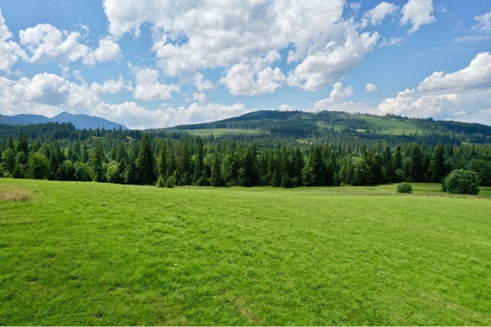 Działka budowlana - Sprzedaż - Witów, Polska - 17.jpg - 470151015-493