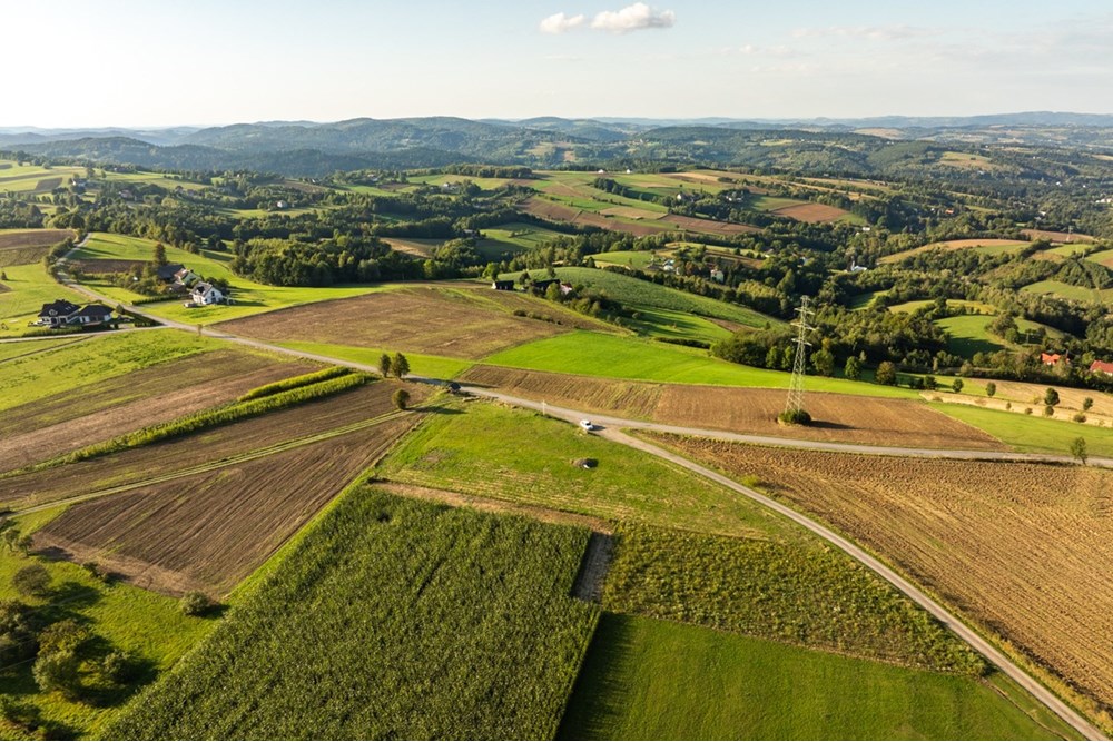 Działka budowlana - Sprzedaż - Ciężkowice, Polska - 20250909-DJI_0276-HDR.jpg - 800241031-43