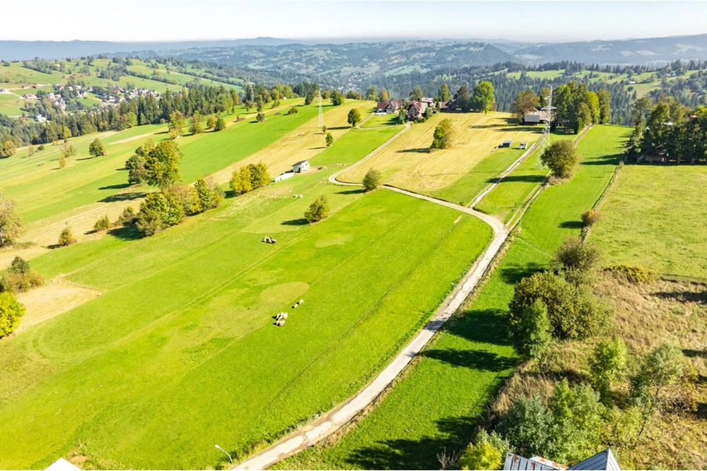 Działka budowlana - Sprzedaż - Ząb, Polska - 20251004-DJI_0854-HDR.jpg - 470151035-148