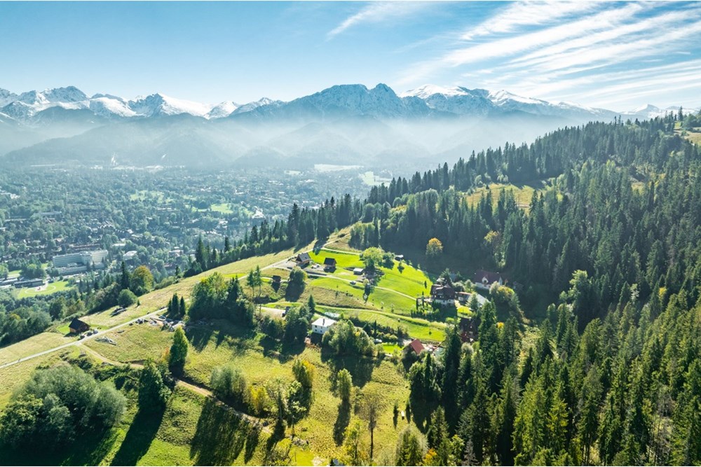Działka - Sprzedaż - Zakopane, Polska - 20251004-DJI_0914-HDR.jpg - 470151024-455