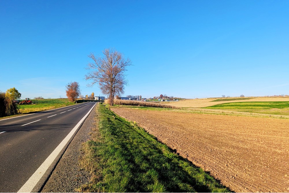 Nieruchomość inwestycyjna - Sprzedaż - Rudnik, Polska - 0bc371f1-7b9d-401b-8a11-6da0cc53928a.jpg - 470311007-9