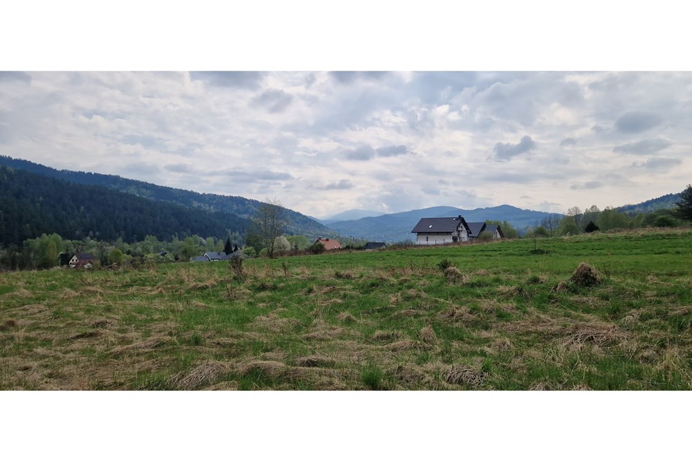 Dom wolnostojący - Sprzedaż - Jeleśnia, Polska - 20250422_103130.jpg - 470131058-361